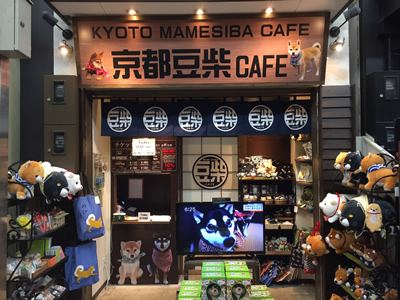 京都豆柴cafe 新京極商店街振興組合公式ウェブサイト